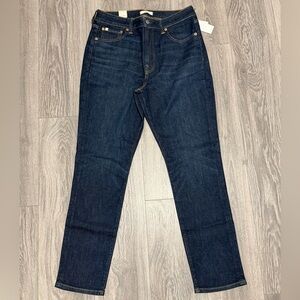 American Eagle AE77 Premium Skinny Jean
